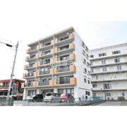 ラブラドールの外観画像