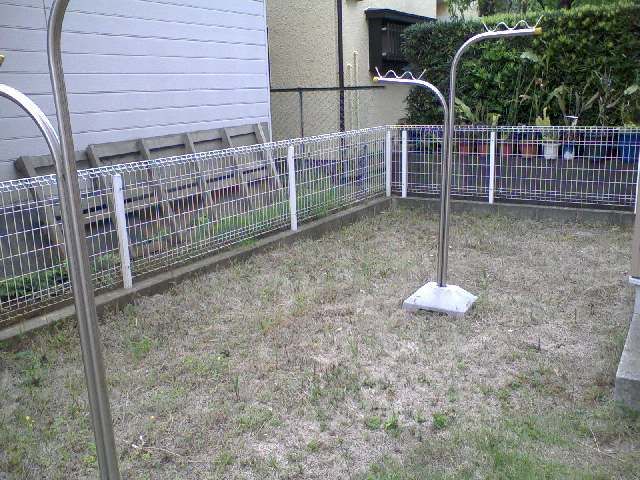 庭