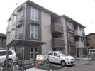 オリーブの外観