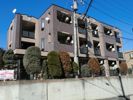 セレニーテの間取り画像