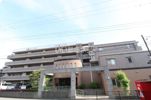 コンフォール・ソシアル 住居の間取り画像