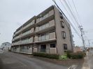 センチュリームラマツⅠの外観