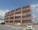 プラシード石川の間取り画像