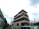 ネオ アンジェーラの間取り画像