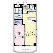 プラシード ヴィラの間取り画像