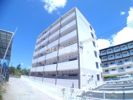 グレイス パグーロ Nの間取り画像