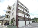 サンフラワー丸市Ⅳの外観