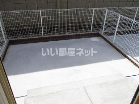 庭