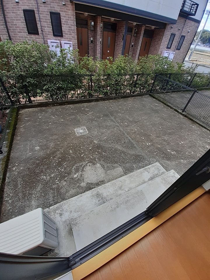 庭