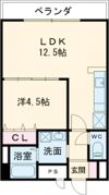 E．POPULARⅡの間取り画像