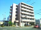グリンデルワルトの間取り画像
