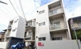 52-3 L-PLOT APARTMENTの間取り画像
