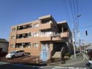 ファーストクラス白新町の間取り画像