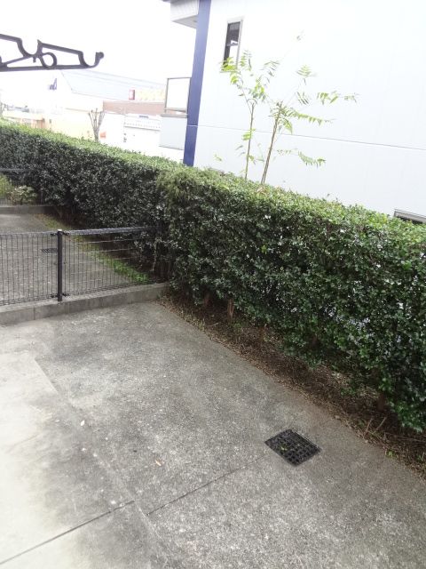 庭
