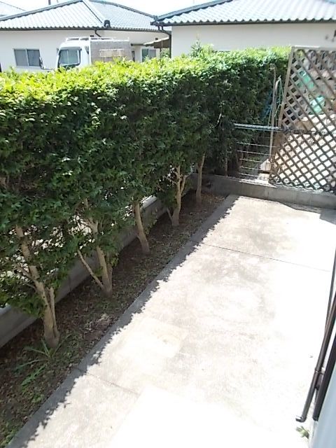庭