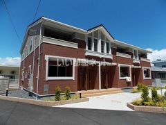 アガパンサスの外観画像