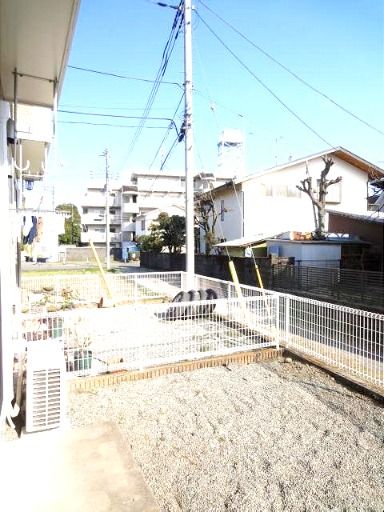 庭