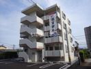 PADRE関谷・春の間取り画像