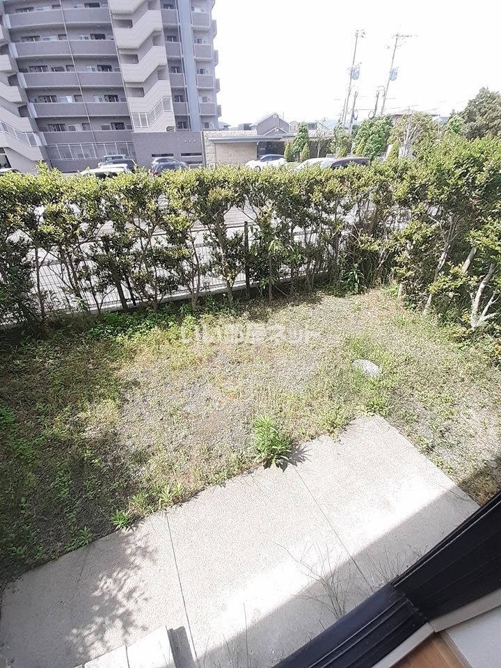 庭