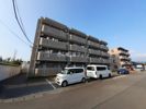 コルティーレ桜堤の間取り画像