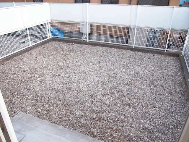 庭