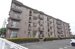 杉山パレスの間取り画像