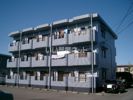 ピュアの間取り画像