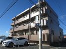 アバンダント初生の外観