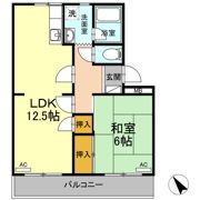 サンヒルズ鷹丘 Cの間取り画像