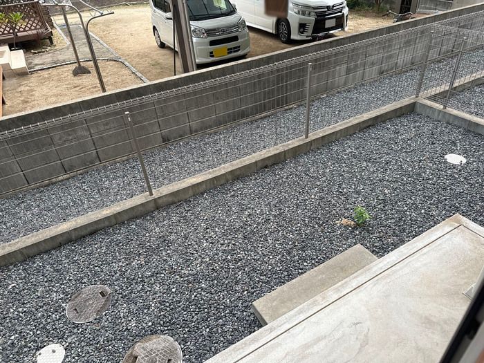 庭
