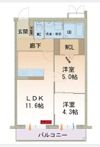 メゾンカモミールTOKIの間取り画像