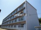 マンション野津の間取り画像