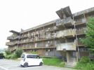 サンフラワーハイツの間取り画像