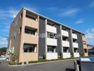 グレイス ワンの間取り画像
