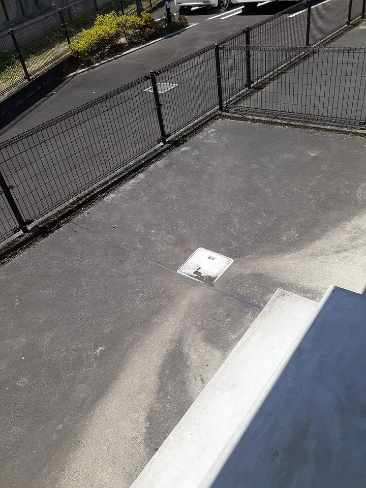 庭