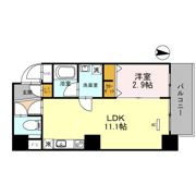 M：COURT新町の間取り画像