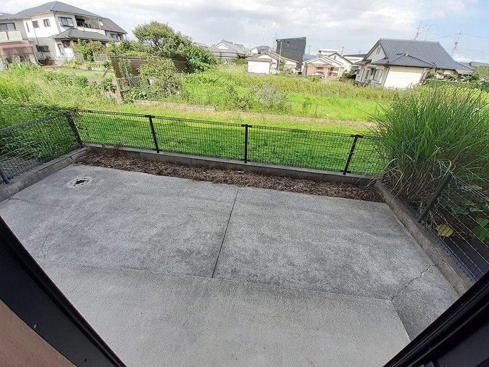 庭