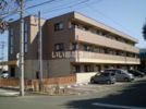 Dーroom高丘西の間取り画像