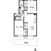 ラークハイムⅡの間取り画像