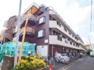 レガシィ小杉の間取り画像