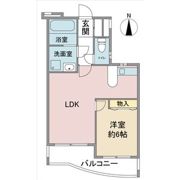ウェルトータスの間取り画像