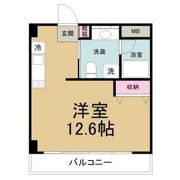 RAFFLE SHINSAKAEの間取り画像