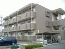 ユーミー美宝の間取り画像