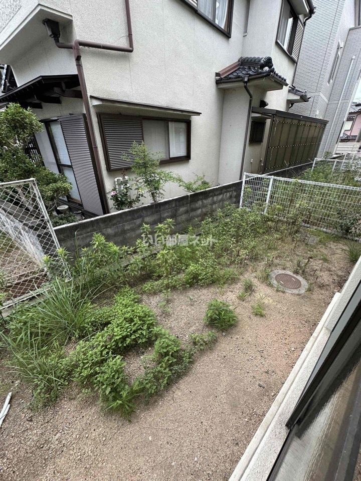庭
