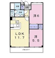 プラシードTSUKASA B棟の間取り画像
