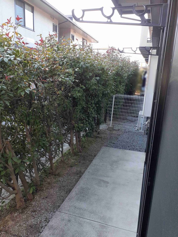 庭
