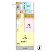 アネシスの間取り画像
