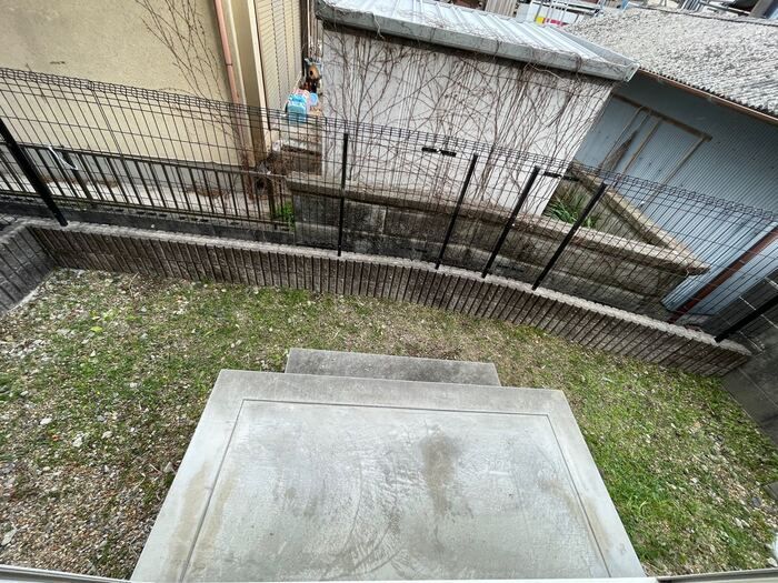 庭