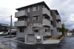 カメリアの間取り画像