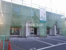 サンライズ飯山満の間取り画像